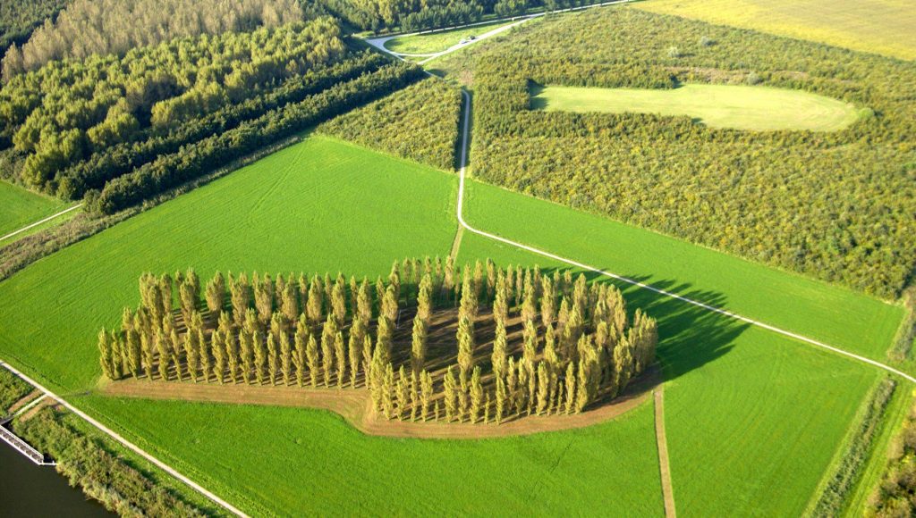 groene-kathedraal-flevolandnc